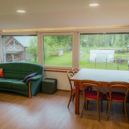 Country Retreat, Near Ljubljana City, Apartma Na Vasi, Blizu Mesta Ljubljana Apartment Медводе Екстериор снимка