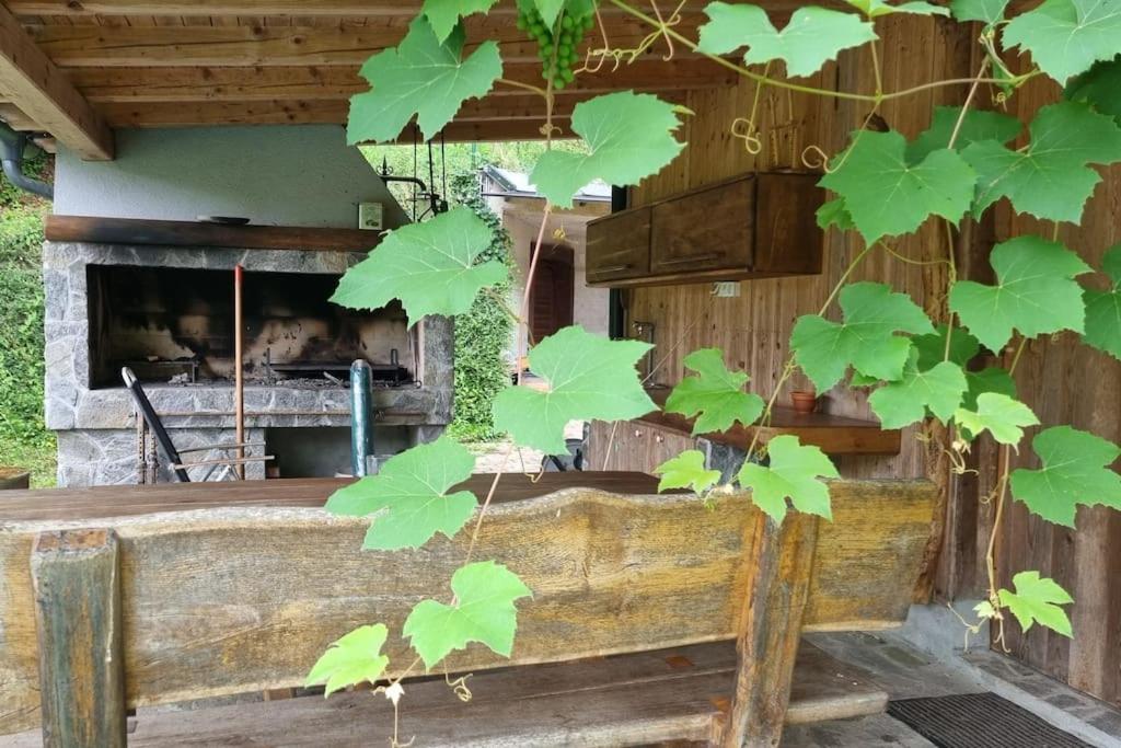 Country Retreat, Near Ljubljana City, Apartma Na Vasi, Blizu Mesta Ljubljana Apartment Медводе Екстериор снимка